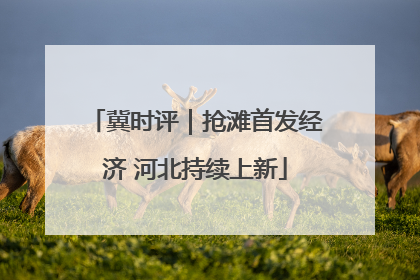 冀时评｜抢滩首发经济 河北持续上新