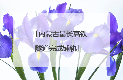 内蒙古最长高铁隧道完成铺轨