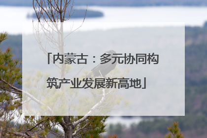 内蒙古：多元协同构筑产业发展新高地