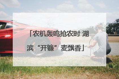 农机轰鸣抢农时 湖滨“开镰”麦飘香