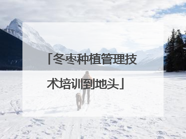 冬枣种植管理技术培训到地头