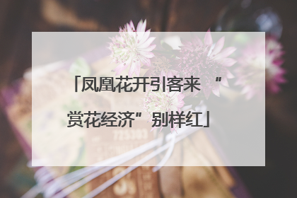 凤凰花开引客来 “赏花经济”别样红