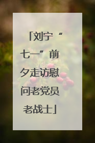 刘宁“七一”前夕走访慰问老党员老战士