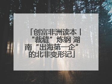 创富非洲读本丨“裁缝”炼钢 湖南“出海第一企”的北非变形记