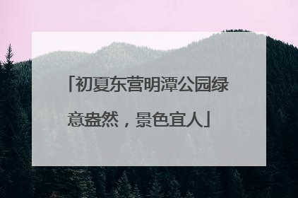 初夏东营明潭公园绿意盎然，景色宜人