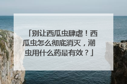 别让西瓜虫肆虐！西瓜虫怎么彻底消灭，潮虫用什么药最有效？