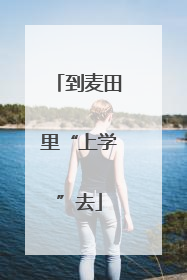 到麦田里“上学”去