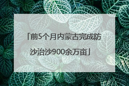 前5个月内蒙古完成防沙治沙900余万亩