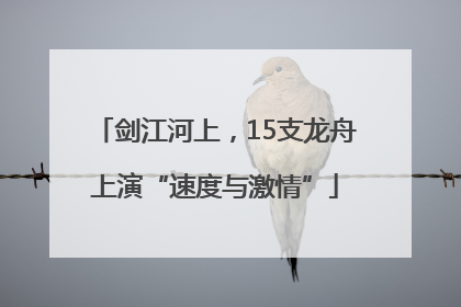 剑江河上，15支龙舟上演“速度与激情”