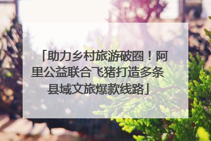 助力乡村旅游破圈！阿里公益联合飞猪打造多条县域文旅爆款线路