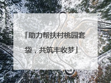助力帮扶村桃园套袋，共筑丰收梦