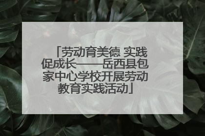 劳动育美德 实践促成长——岳西县包家中心学校开展劳动教育实践活动