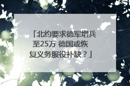 北约要求德军增兵至25万 德国或恢复义务服役补缺？