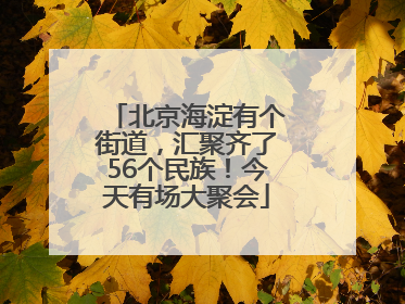 北京海淀有个街道，汇聚齐了56个民族！今天有场大聚会