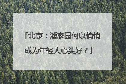 北京：潘家园何以悄悄成为年轻人心头好？