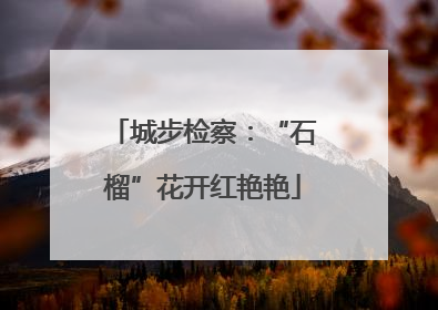 城步检察：“石榴”花开红艳艳