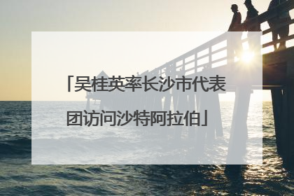吴桂英率长沙市代表团访问沙特阿拉伯