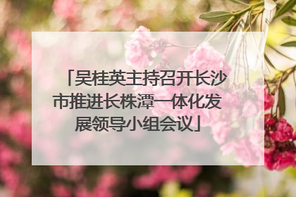 吴桂英主持召开长沙市推进长株潭一体化发展领导小组会议