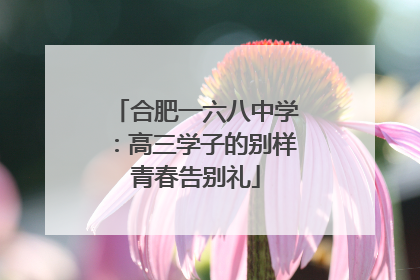 合肥一六八中学：高三学子的别样青春告别礼