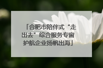 合肥市陪伴式“走出去”综合服务专窗护航企业扬帆出海