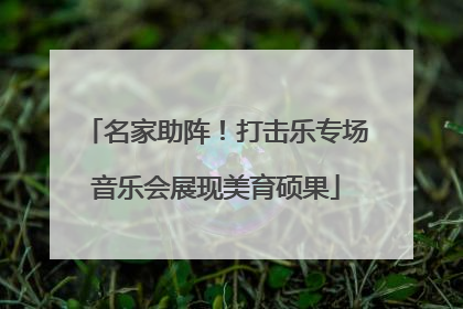 名家助阵！打击乐专场音乐会展现美育硕果