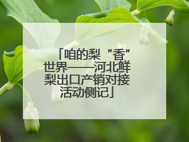 咱的梨“香”世界——河北鲜梨出口产销对接活动侧记