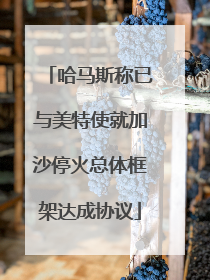 哈马斯称已与美特使就加沙停火总体框架达成协议