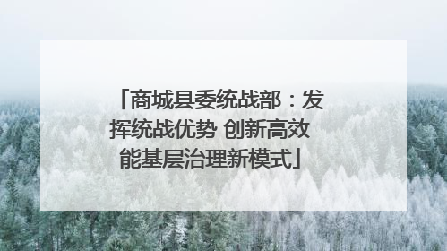 商城县委统战部：发挥统战优势 创新高效能基层治理新模式