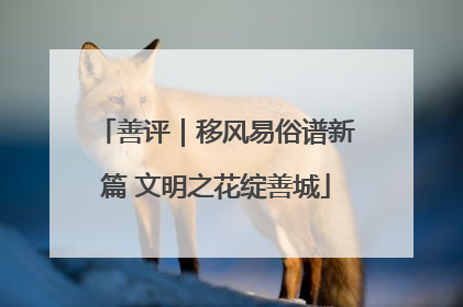 善评｜移风易俗谱新篇 文明之花绽善城