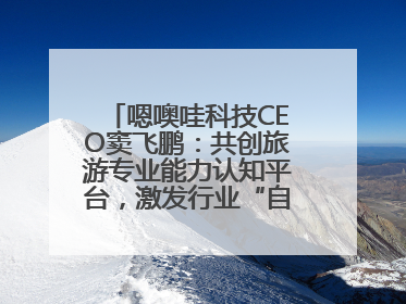 嗯噢哇科技CEO窦飞鹏：共创旅游专业能力认知平台，激发行业“自生长”力量
