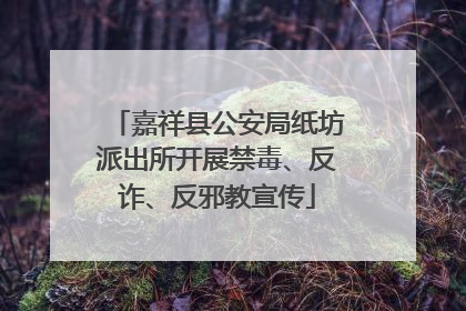 嘉祥县公安局纸坊派出所开展禁毒、反诈、反邪教宣传
