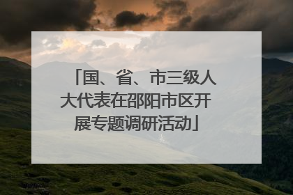 国、省、市三级人大代表在邵阳市区开展专题调研活动