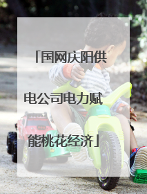 国网庆阳供电公司电力赋能桃花经济