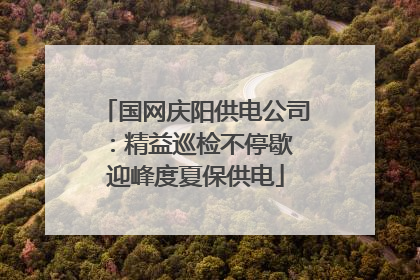 国网庆阳供电公司：精益巡检不停歇 迎峰度夏保供电