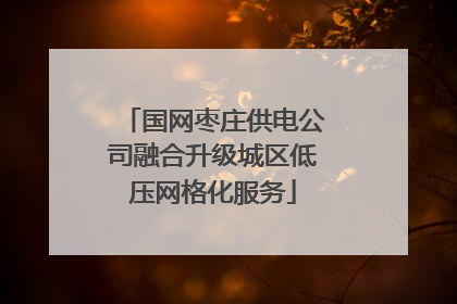 国网枣庄供电公司融合升级城区低压网格化服务