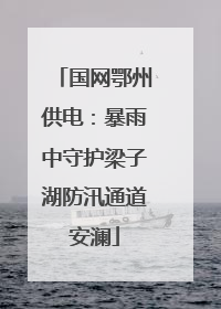 国网鄂州供电：暴雨中守护梁子湖防汛通道安澜