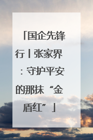 国企先锋行丨张家界：守护平安的那抹“金盾红”