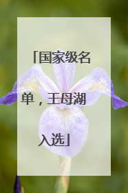 国家级名单，王母湖入选