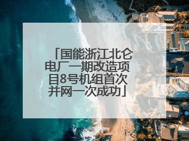 国能浙江北仑电厂一期改造项目8号机组首次并网一次成功
