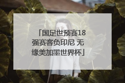 国足世预赛18强赛客负印尼 无缘美加墨世界杯