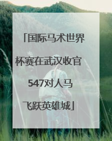 国际马术世界杯赛在武汉收官 547对人马飞跃英雄城