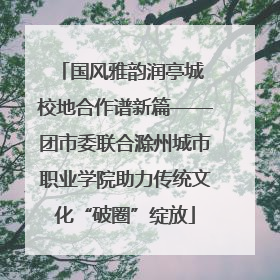 国风雅韵润亭城 校地合作谱新篇——团市委联合滁州城市职业学院助力传统文化“破圈”绽放
