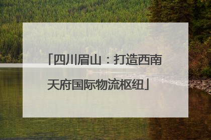 四川眉山：打造西南天府国际物流枢纽