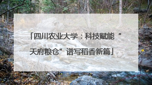 四川农业大学：科技赋能“天府粮仓”谱写稻香新篇