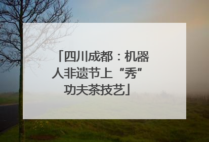 四川成都：机器人非遗节上“秀”功夫茶技艺