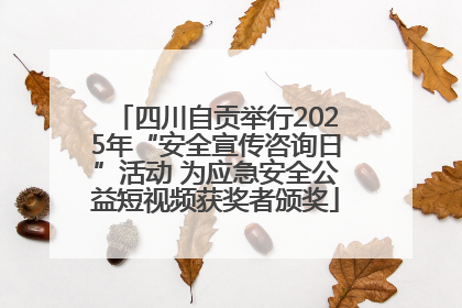 四川自贡举行2025年“安全宣传咨询日”活动 为应急安全公益短视频获奖者颁奖