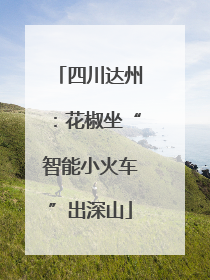 四川达州：花椒坐“智能小火车”出深山