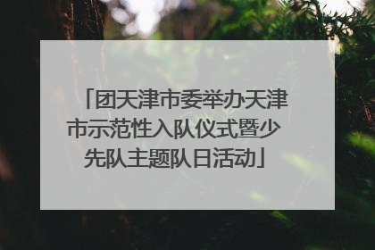 团天津市委举办天津市示范性入队仪式暨少先队主题队日活动