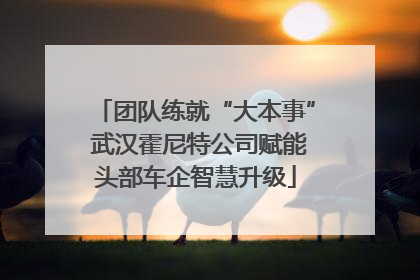 团队练就“大本事” 武汉霍尼特公司赋能头部车企智慧升级