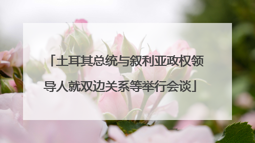 土耳其总统与叙利亚政权领导人就双边关系等举行会谈